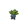 Dark Oddish